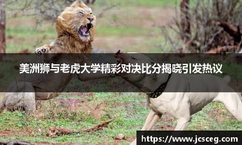 Bsports必一官方网站